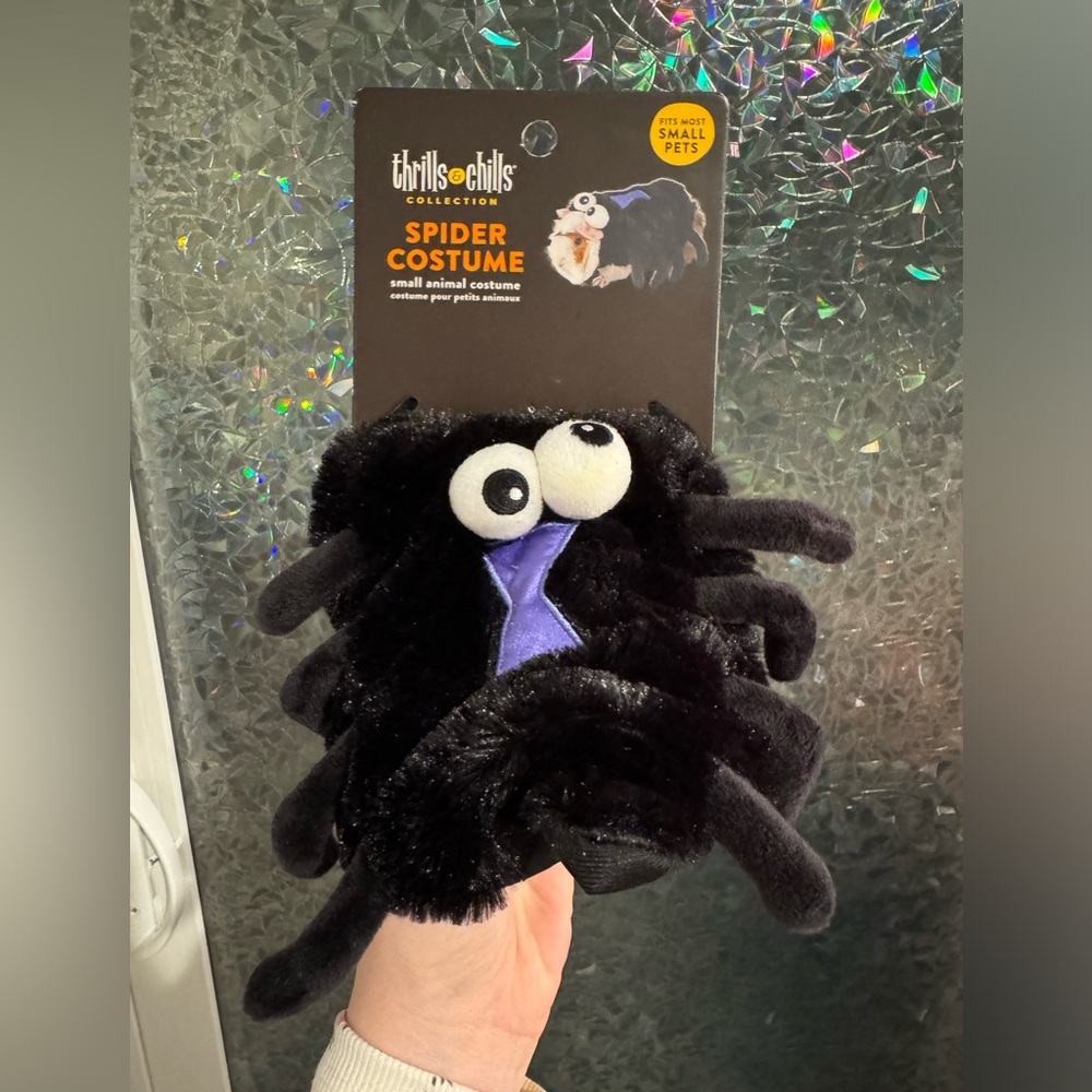 spider costume for small pets